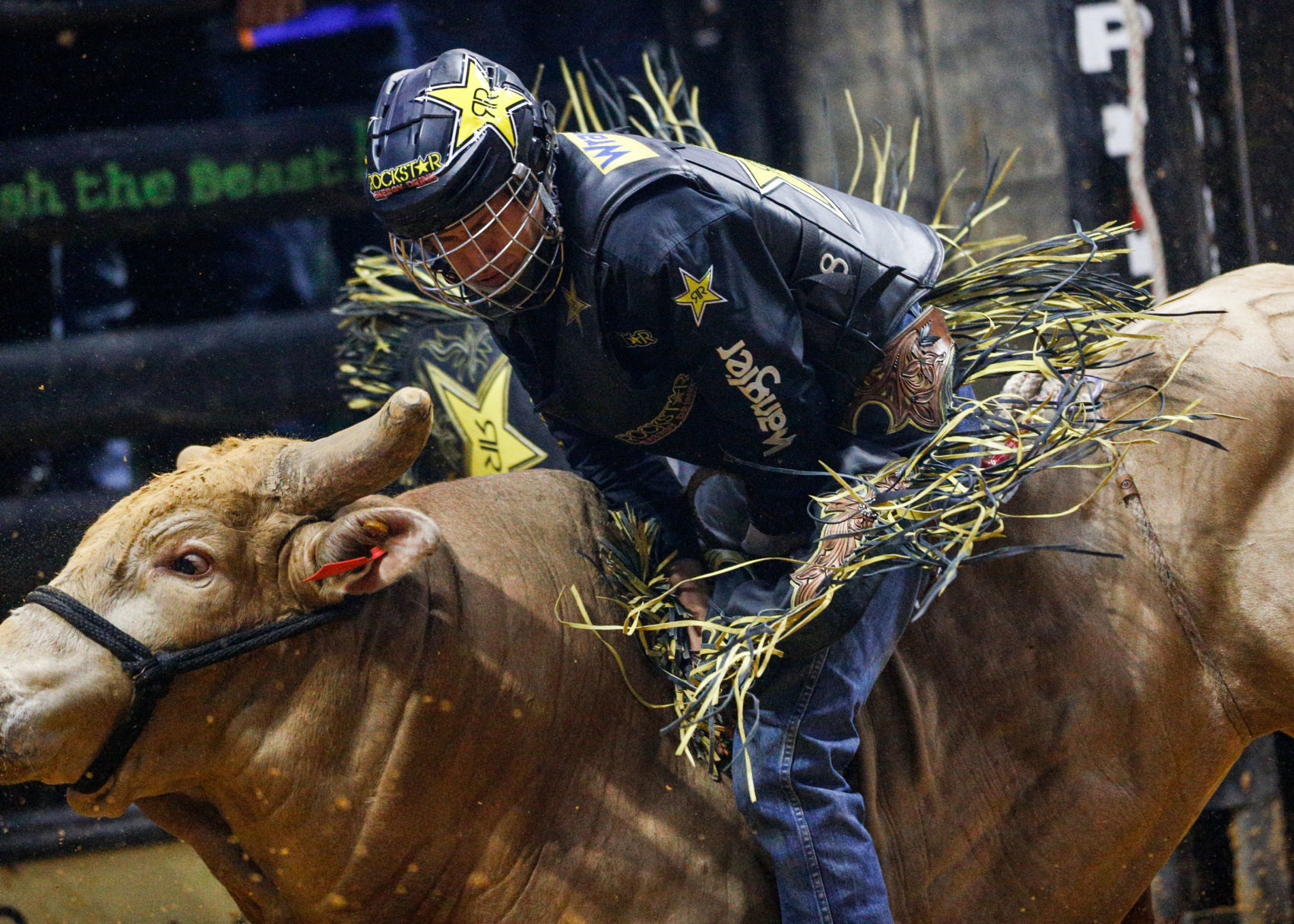 PBR Day 2